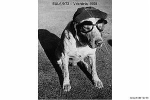 186- ARMEE DE L'AIR EN ALGERIE 1945-1962-34 (43)